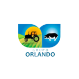 Grupo Orlando
